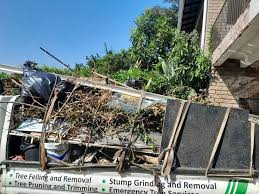 Best Retail Junk Removal  in Manvel, TX